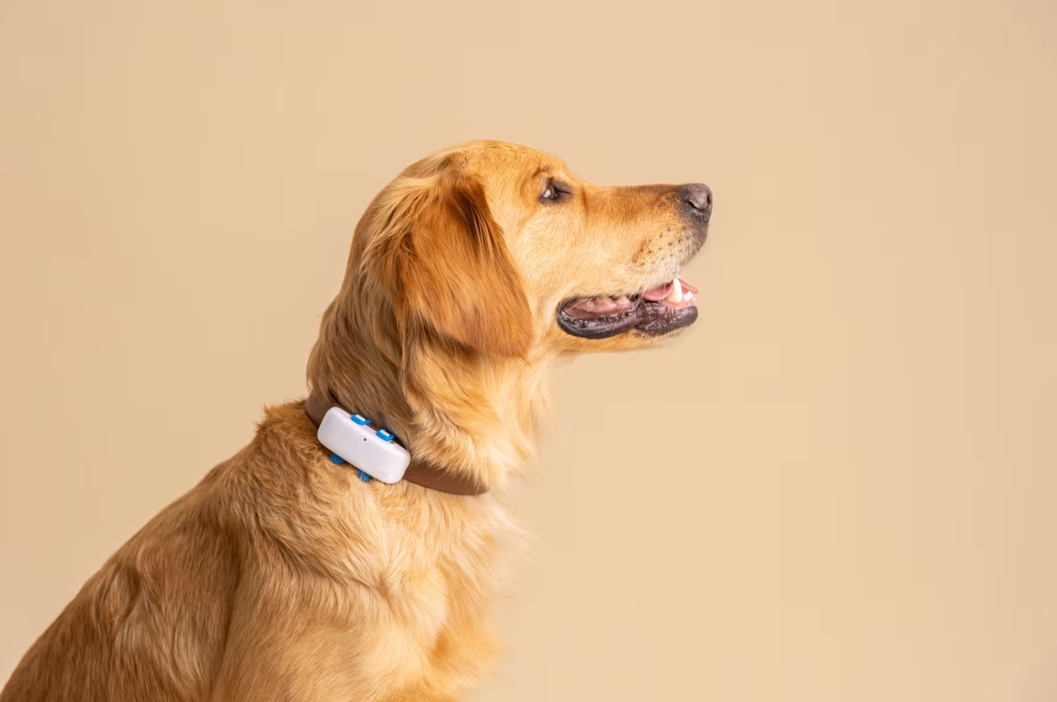 PawTracker™ Gps Pet Tracker