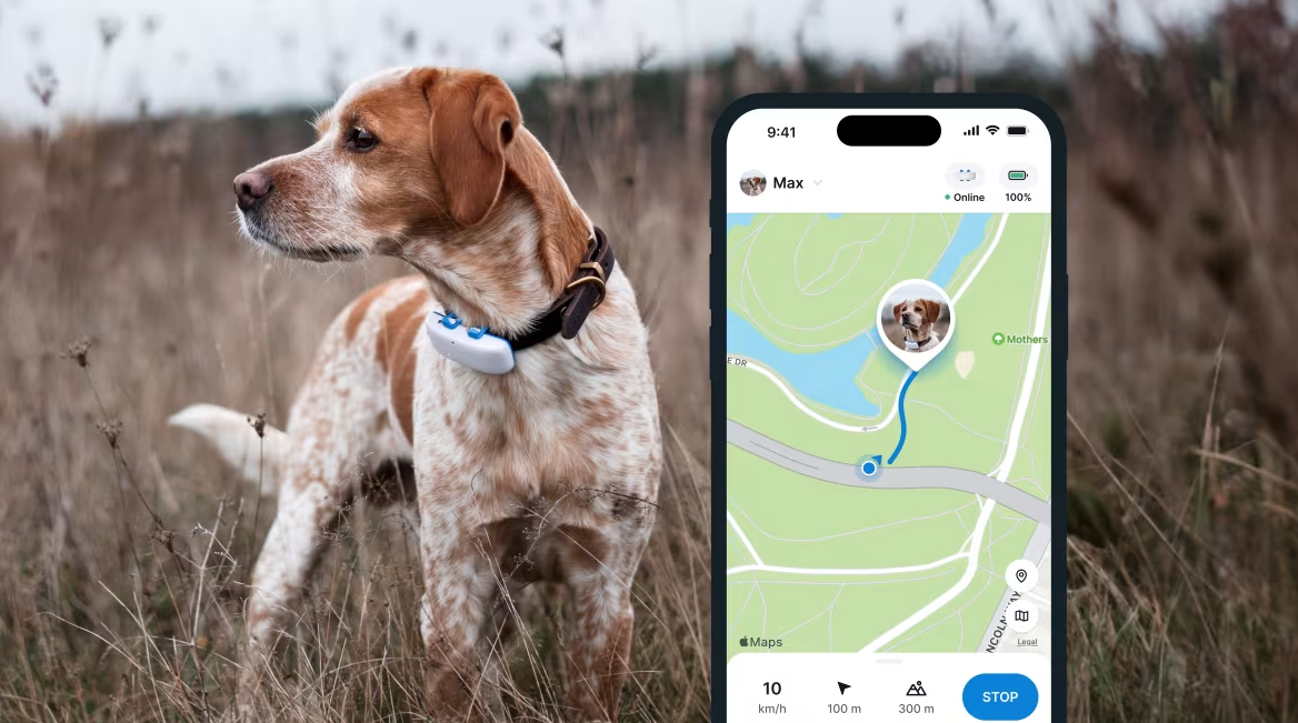 PawTracker™ Gps Pet Tracker